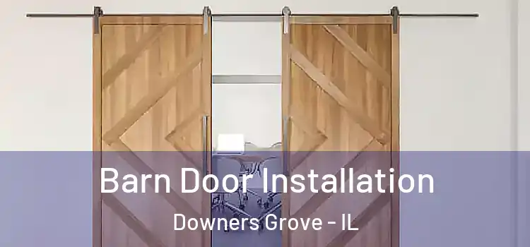  Barn Door Installation Downers Grove - IL