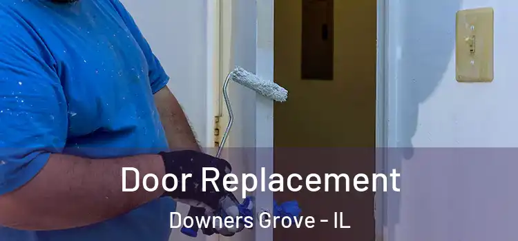  Door Replacement Downers Grove - IL