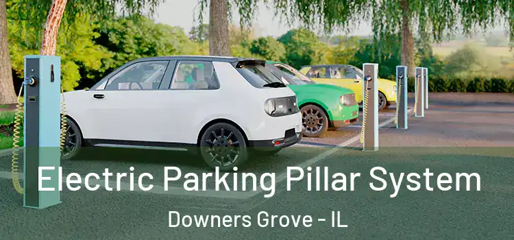 Electric Parking Pillar System Downers Grove - IL