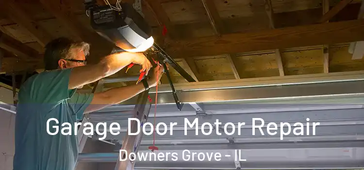  Garage Door Motor Repair Downers Grove - IL