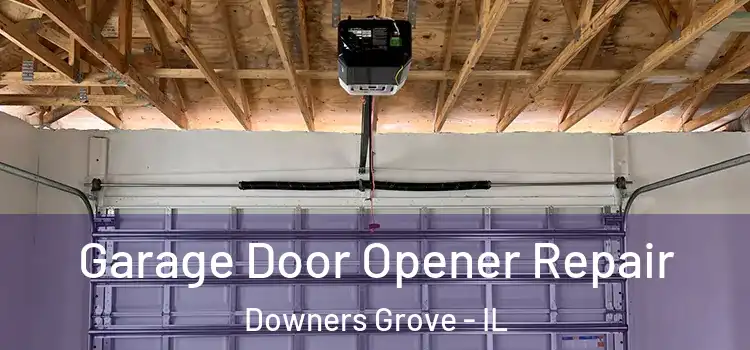  Garage Door Opener Repair Downers Grove - IL