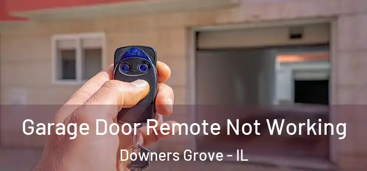  Garage Door Remote Not Working Downers Grove - IL