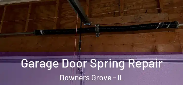  Garage Door Spring Repair Downers Grove - IL