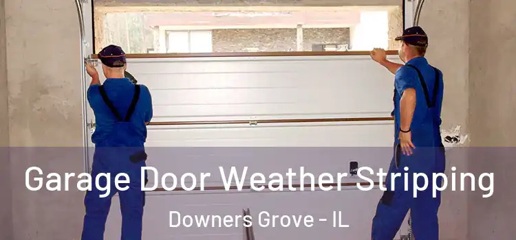  Garage Door Weather Stripping Downers Grove - IL