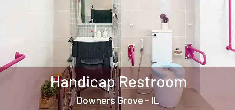 Handicap Restroom Downers Grove - IL