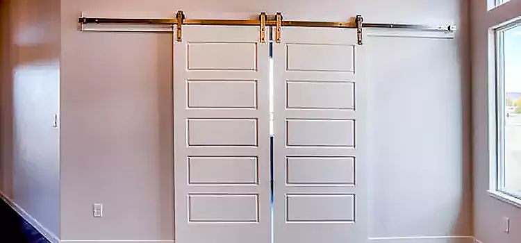 Glass Barn Door with Installation Hardware Kit Downers Grove