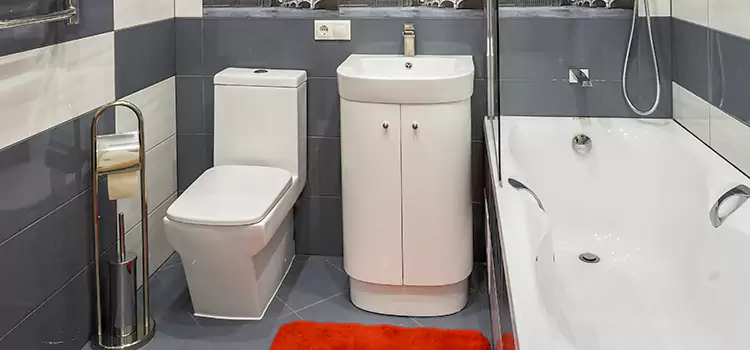 Hansgrohe Shaving Mirror Downers Grove