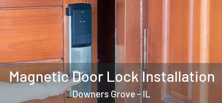  Magnetic Door Lock Installation Downers Grove - IL