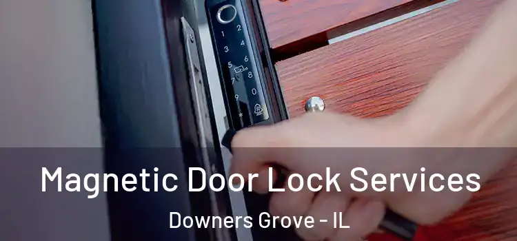 Magnetic Door Lock Services Downers Grove - IL