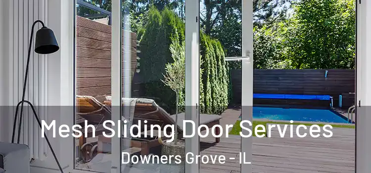 Mesh Sliding Door Services Downers Grove - IL