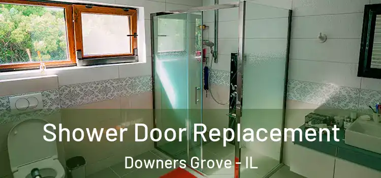  Shower Door Replacement Downers Grove - IL