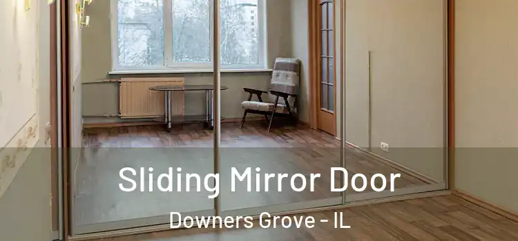  Sliding Mirror Door Downers Grove - IL