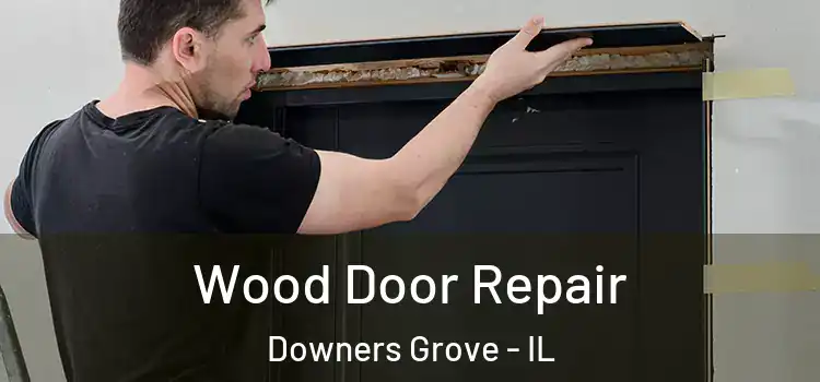 Wood Door Repair Downers Grove - IL